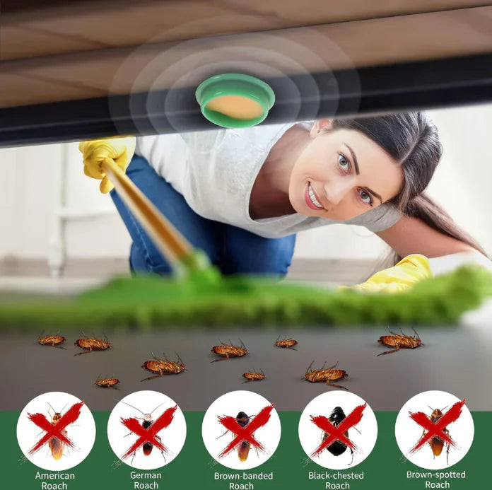 Roach Shield Natural Gel – Safe & Powerful Cockroach Killer for Kitchens, Bathrooms & Cabinets